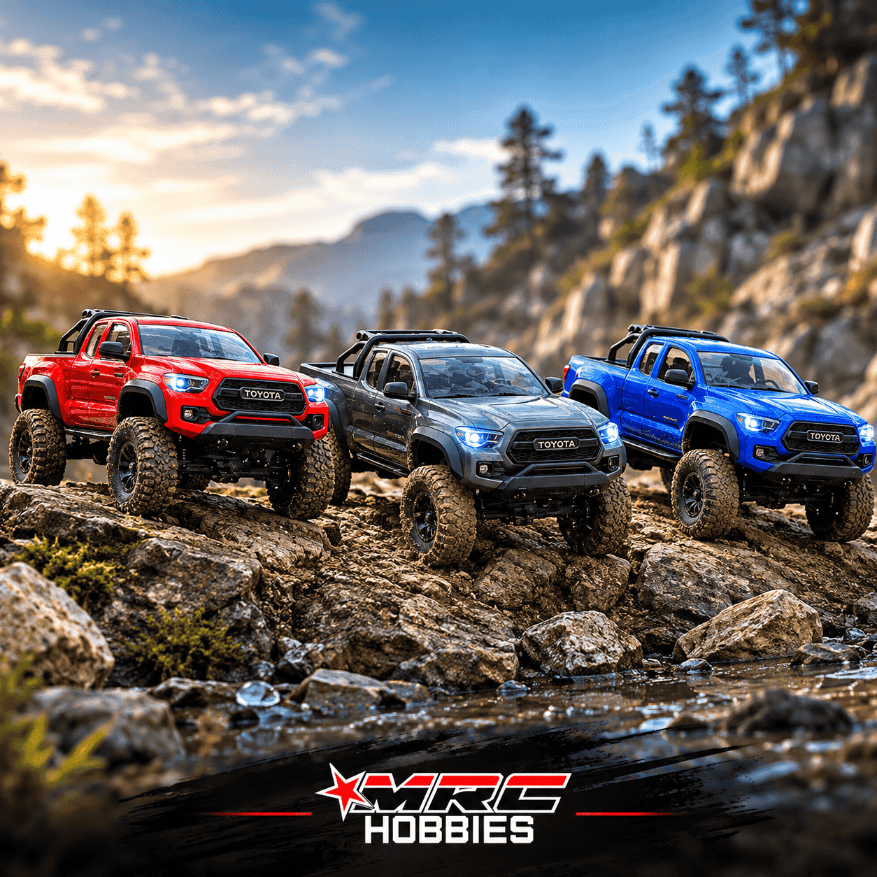 FMS FCX24M Toyota Tacoma 1/24 4WD RC Crawler RTR India 1