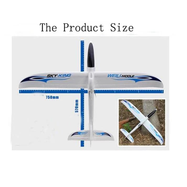 WLTOYS F959S Sky-King 2.4G 3CH 6-Axis RTF RC Glider Airplane India 10